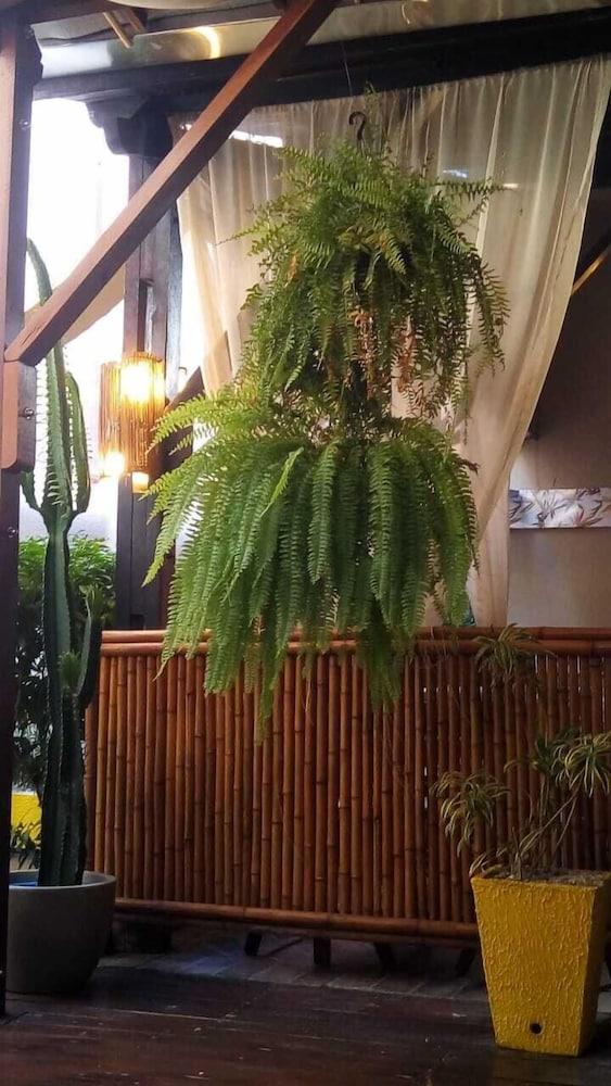 Pousada Aquarela Do Brasil Maceió エクステリア 写真